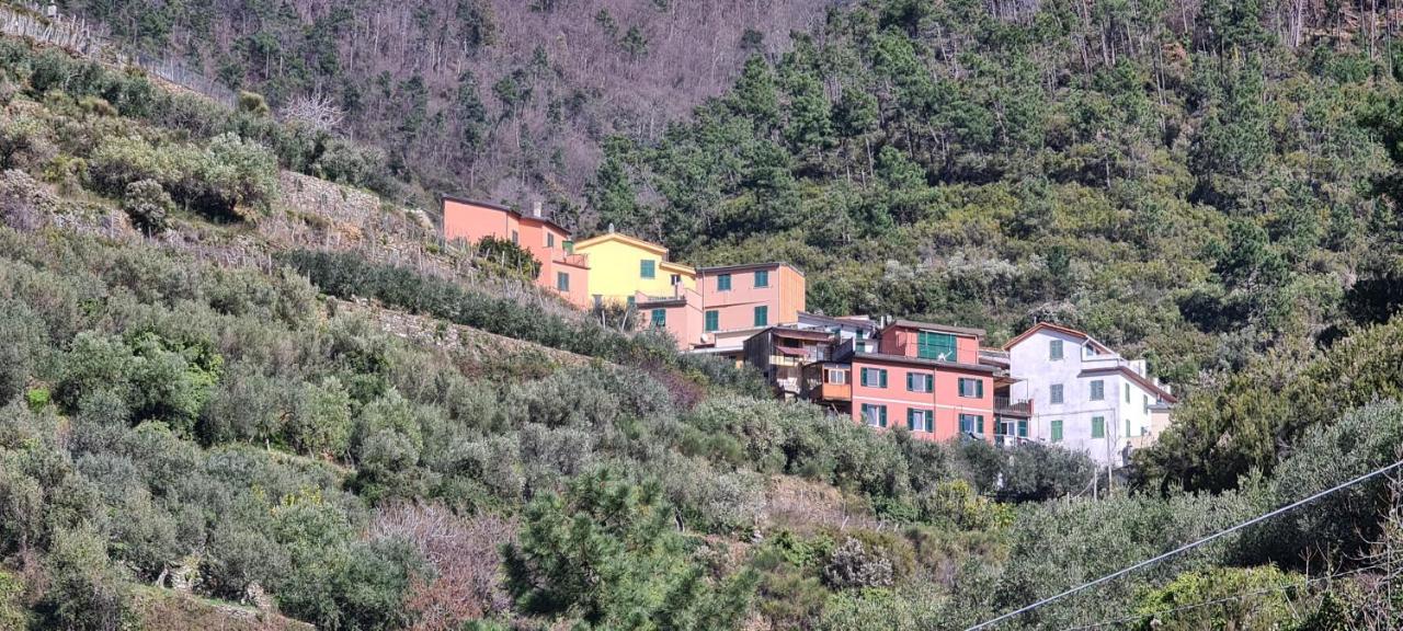 ☆ Terrace & Relax ☆ Casa Franceschin_ Homy 5 Terre Villa Riomaggiore Exterior foto