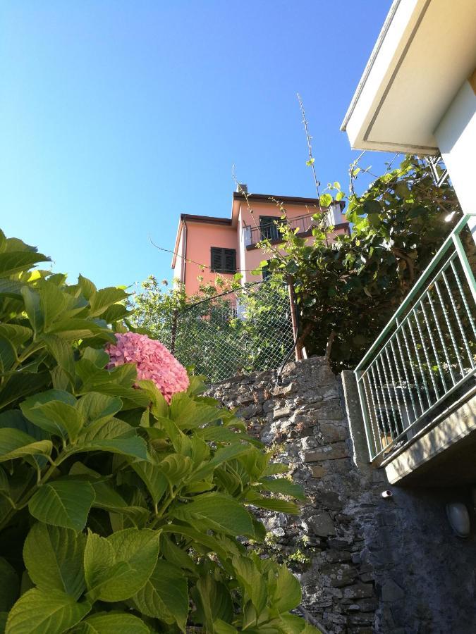 ☆ Terrace & Relax ☆ Casa Franceschin_ Homy 5 Terre Villa Riomaggiore Exterior foto
